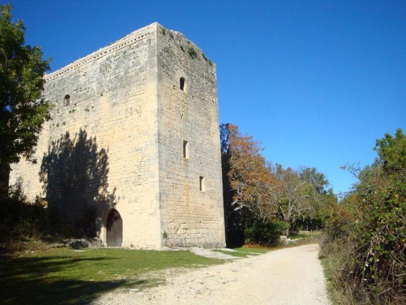 Gite Hanna En Luberon - Le Boisset De St Martin De Castillon Saint-Martin-de-Castillon Zewnętrze zdjęcie