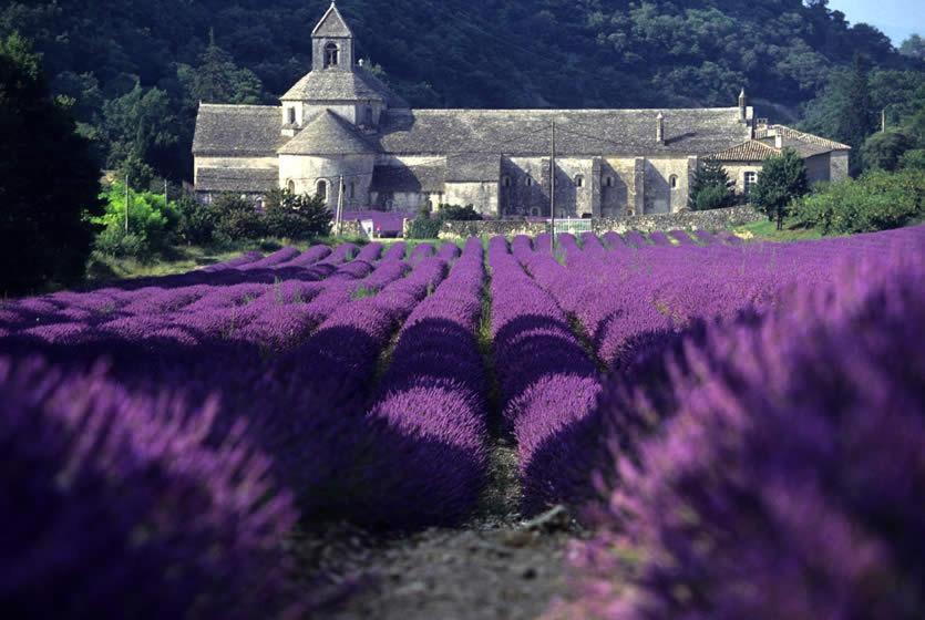 Gite Hanna En Luberon - Le Boisset De St Martin De Castillon Saint-Martin-de-Castillon Zewnętrze zdjęcie