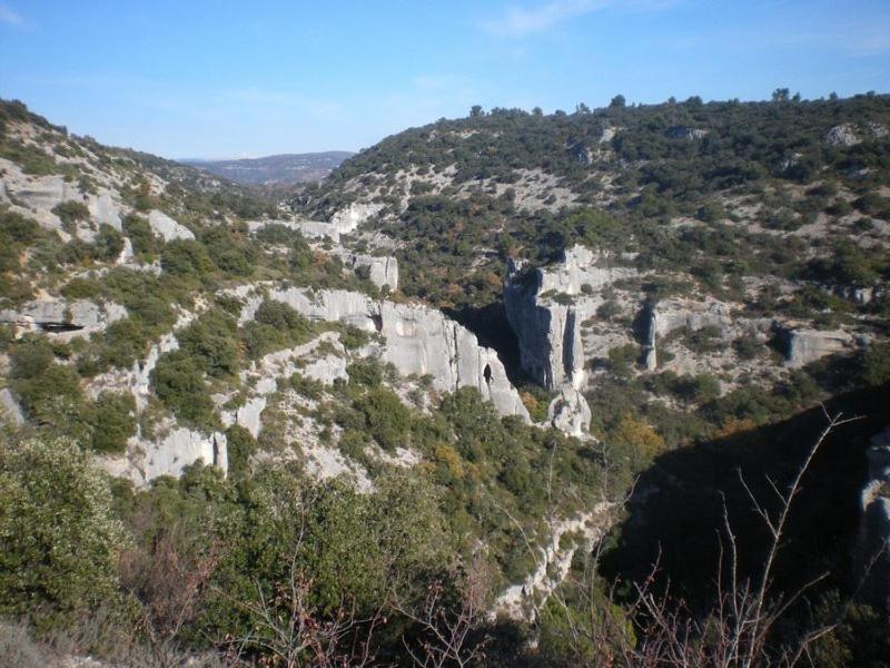 Gite Hanna En Luberon - Le Boisset De St Martin De Castillon Saint-Martin-de-Castillon Zewnętrze zdjęcie